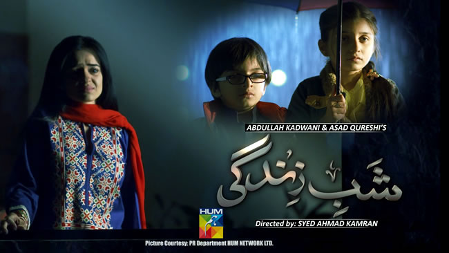 Shab e Zindagi Poster