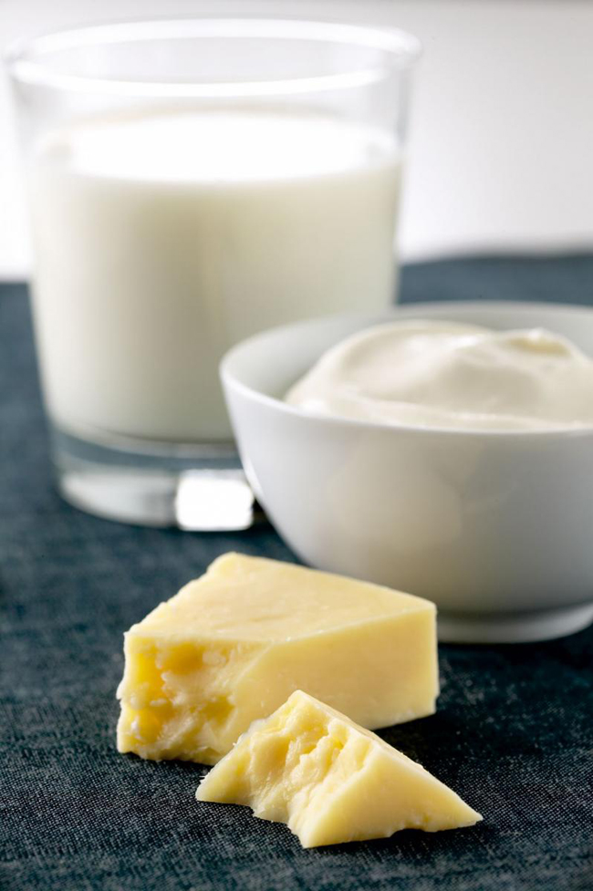 Cheese, Yogurt