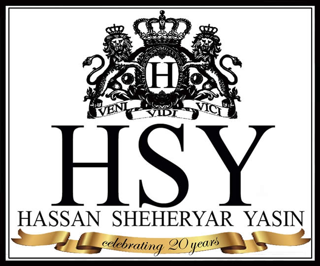logo HSY