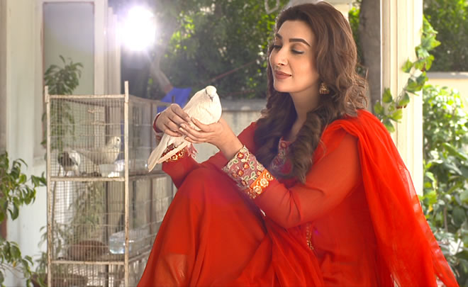Ayesha Khan Red Suit
