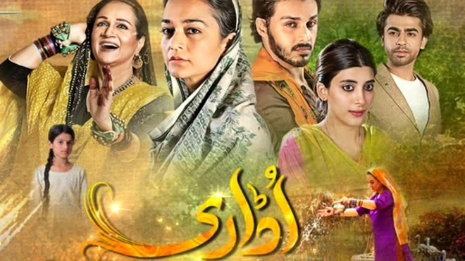 udaari Hum TV