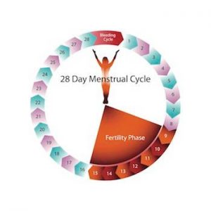 Is Your Menstrual Cycle Normal?